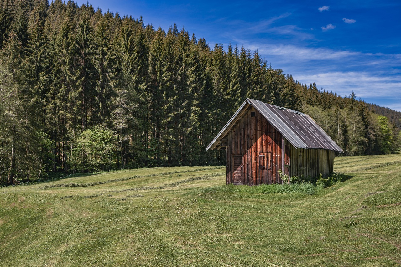 house, cottage, nature