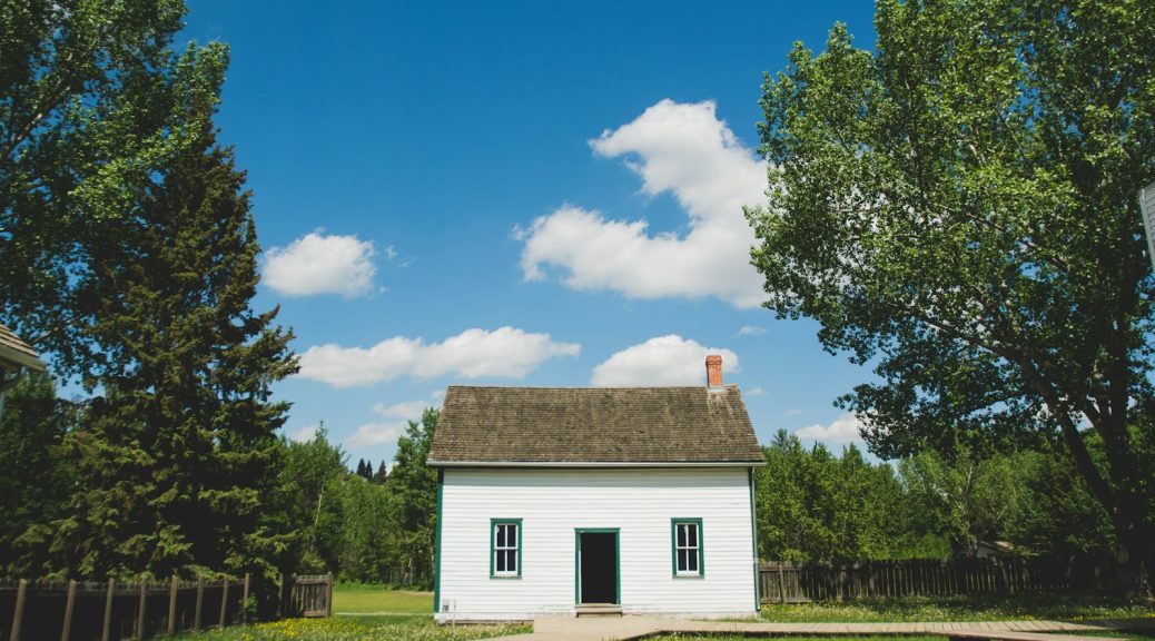 white wooden house between trees